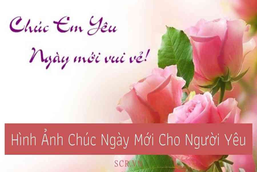 Hoa Đẹp Chào Ngày Mới ❤️ Hoa Chào Buổi Sáng Dễ Thương - EU ...