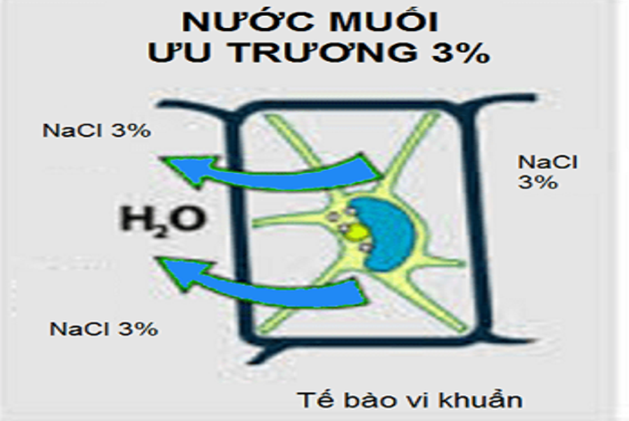 Hãy kể những chất diệt khuẩn thường dùng trong bệnh viện trường học và gia đình Đất Xuyên