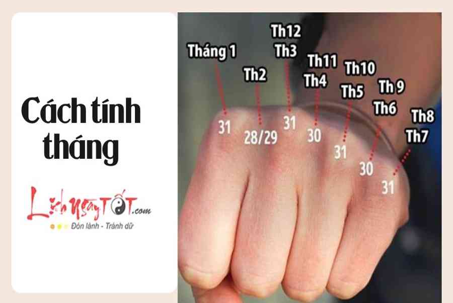 Tháng 12 có bao nhiêu ngày? Cùng xem chúng ta có gì từ tháng 12 - Tốp 10 Dẫn Đầu Bảng Xếp Hạng Tổng Hợp Leading10