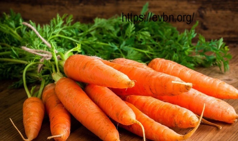 Mơ củ cà rốt, củ khoai, củ su hào số bao nhiêu?