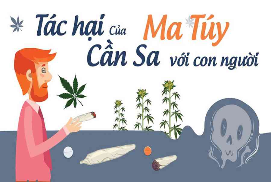 MA TÚY TRONG HỌC ĐƯỜNG VÀ TRÁCH NHIỆM CỦA HỌC SINH …