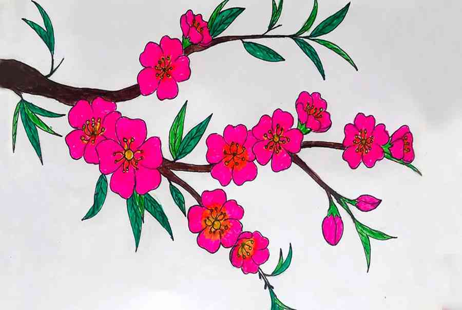 16 cách vẽ tranh đề tài ngày Tết và mùa xuân đơn giản nhất