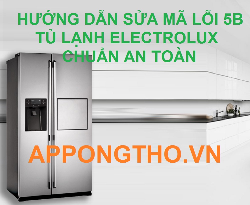 Lỗi 5B tủ lạnh Electrolux có dễ khắc phục tại nhà không?