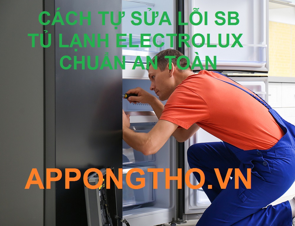 Tự sửa lỗi SB tủ lạnh Electrolux Side By Side tại nhà